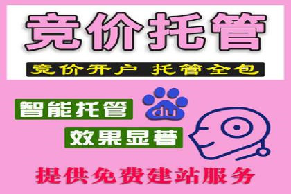 sem运营公司助力企业增长